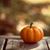 June Hallstrom's profile image