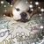 Debra Holland Self's profile image