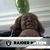 Diane Powers's profile image