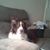 Joan Macaluso's profile image