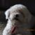 Aishu Achu's profile image