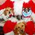 Michelle Marie Durham's profile image