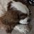 Bonita Hanks Swinson's profile image