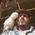 Michael Greene's profile image