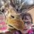 Kristi Paul's profile image