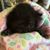 Libby Seagoe's profile image