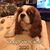 Patti Insalaco's profile image