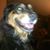Ken Shearer's profile image