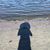 Myriam Reyes's profile image