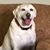 Martin Pusser's profile image