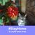 Deann Dougherty's profile image