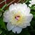 Anne Marie Atkins's profile image