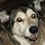 Merrie Labbe's profile image