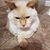 Nadine M. Rasmussen Cory's profile image