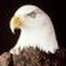 John D.'s profile image