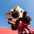 Travis Meyer's profile image