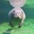 Karen Martin Harrison's profile image