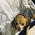 Marion Boulnois's profile image