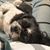 Carolyn Elias Rowland's profile image