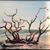 Karen Underwood Boice's profile image
