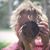Jocelyn Jones's profile image