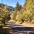 Lori Hoak's profile image