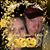 Brian Kelley's profile image