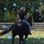 Tonya Hoover's profile image