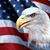 Mark Anoff's profile image