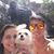 Iudencles Garcia's profile image