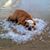 Peggy Johnston's profile image