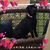 Karen Ford Hall's profile image