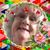 Dimple Holmes's profile image