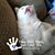 Bernadette Dederick's profile image