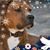 Robin Cogswell's profile image