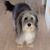 Jeannie Cairns Blevins's profile image