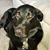 Linda Susan's profile image