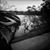 Greg Messler's profile image