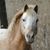 Carla Thornton Bundy's profile image