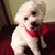 Eddie Brittenham's profile image