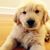 Phuong Xa's profile image