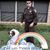 Glenn Agiewich's profile image