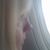 Rebecca Atteberry's profile image