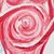 Madison Elkhorn's profile image