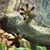 Jeffrey Burdett's profile image
