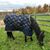 Deb Jerge's profile image