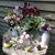 Donna Katsuranis's profile image