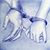 Nihad B Mohamed's profile image