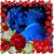 Tyana Menne's profile image