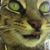 Dls Mitchem's profile image